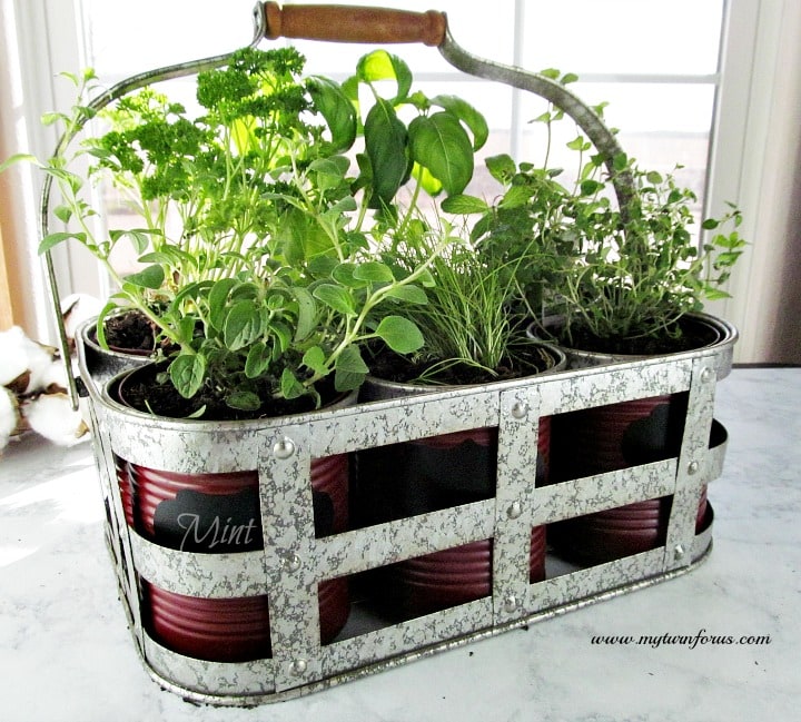 Easy And Inexpensive Diy Indoor Herb Garden Kit My Turn For Us