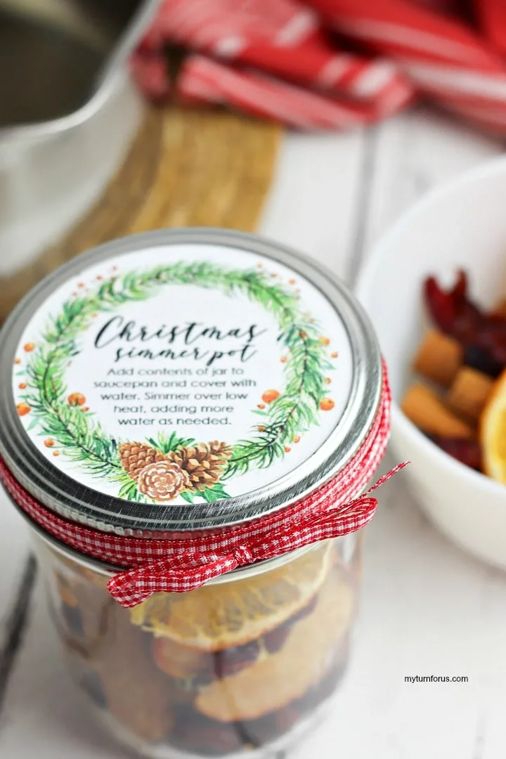https://www.myturnforus.com/wp-content/uploads/2019/10/how-to-use-potpourri-with-this-simmer-pot-in-a-jar.jpg.webp