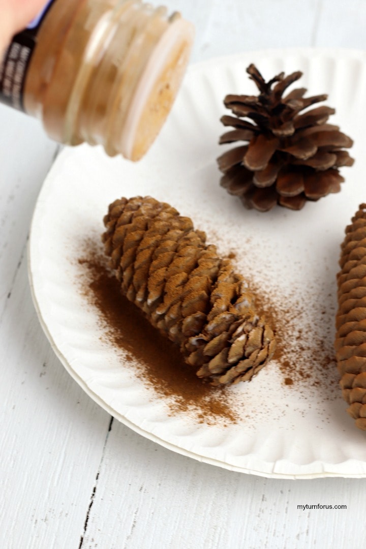 Cinnamon Scented Pine Cones - My Turn for Us