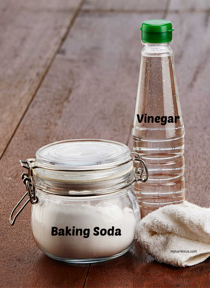 Cleaning Product made by mixing Vinegar Lemon and Baking soda - My Turn ...