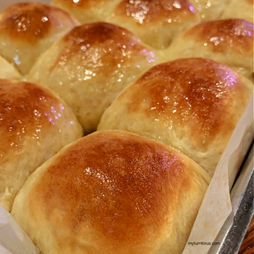 Soft No Knead Dinner Rolls